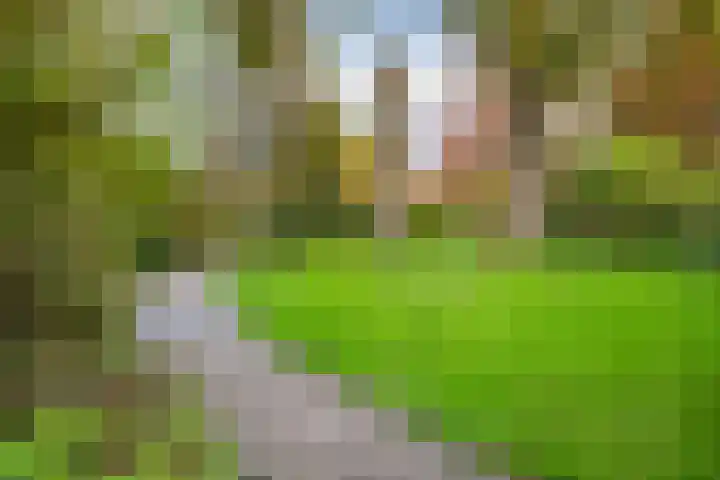 Dullert 46 Huissen thumbnail 35