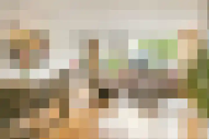 Dullert 46 Huissen thumbnail 4
