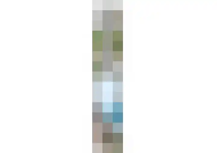Dullert 46 Huissen thumbnail 41