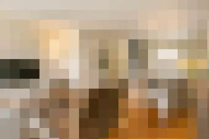 Dullert 46 Huissen thumbnail 7