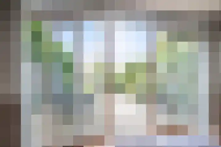 Dullert 69 Huissen thumbnail 11