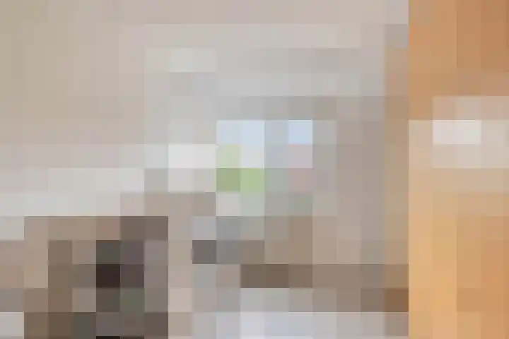 Dullert 69 Huissen thumbnail 21