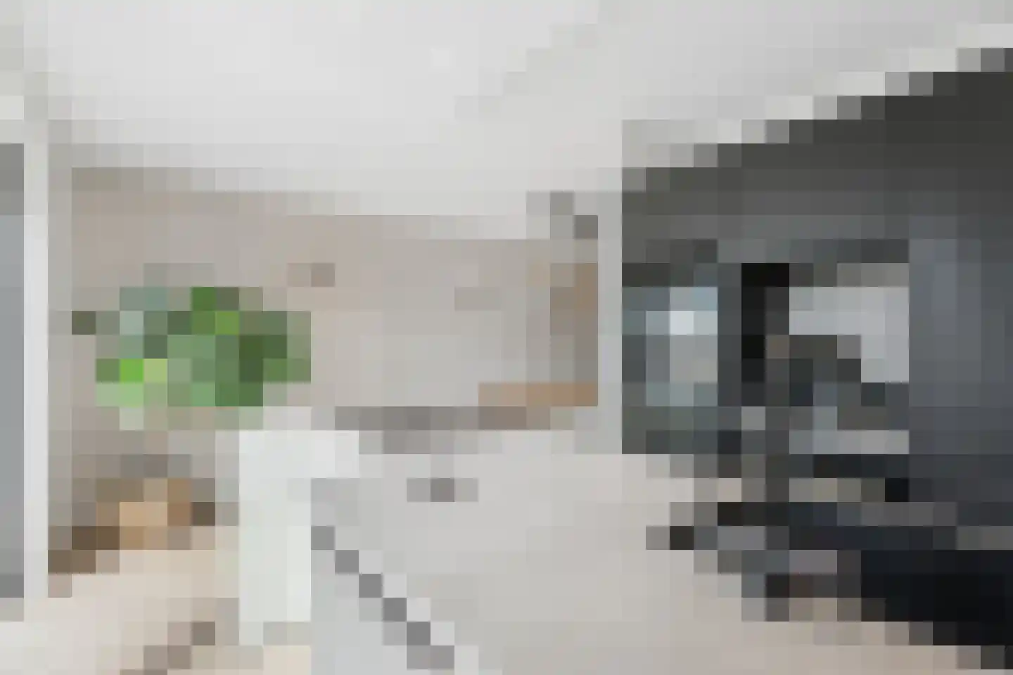 Dullert 99 Huissen thumbnail 10