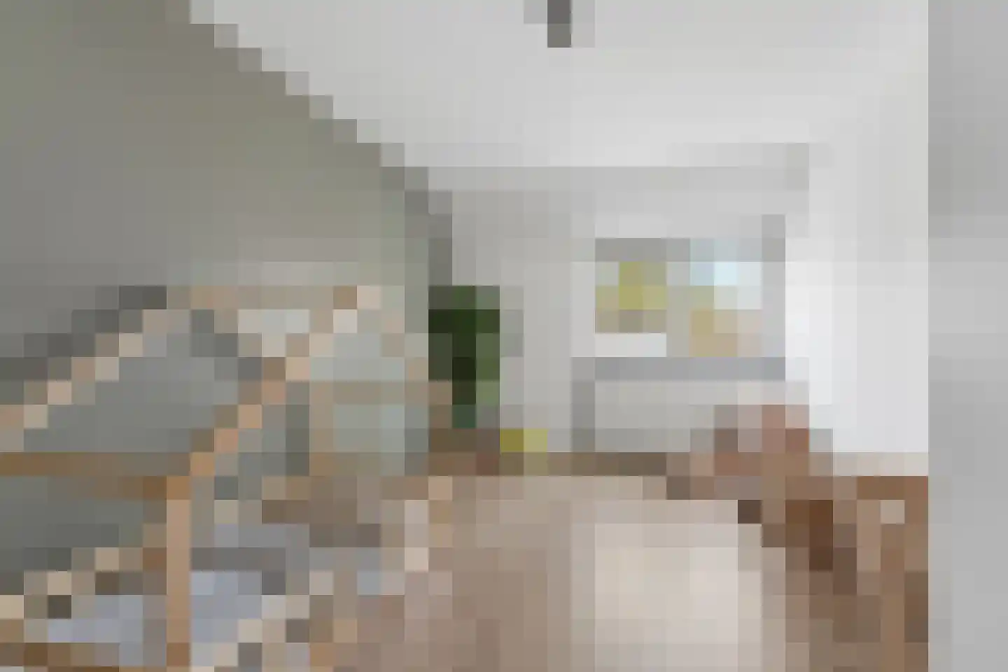 Dullert 99 Huissen thumbnail 22
