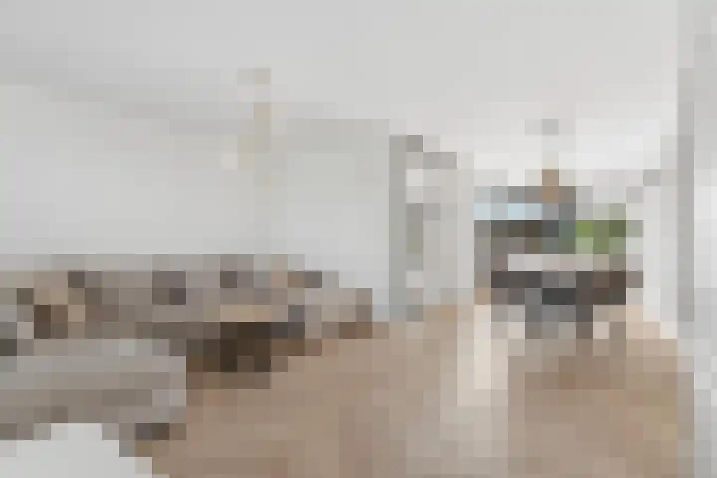 Dullert 99 Huissen thumbnail 4