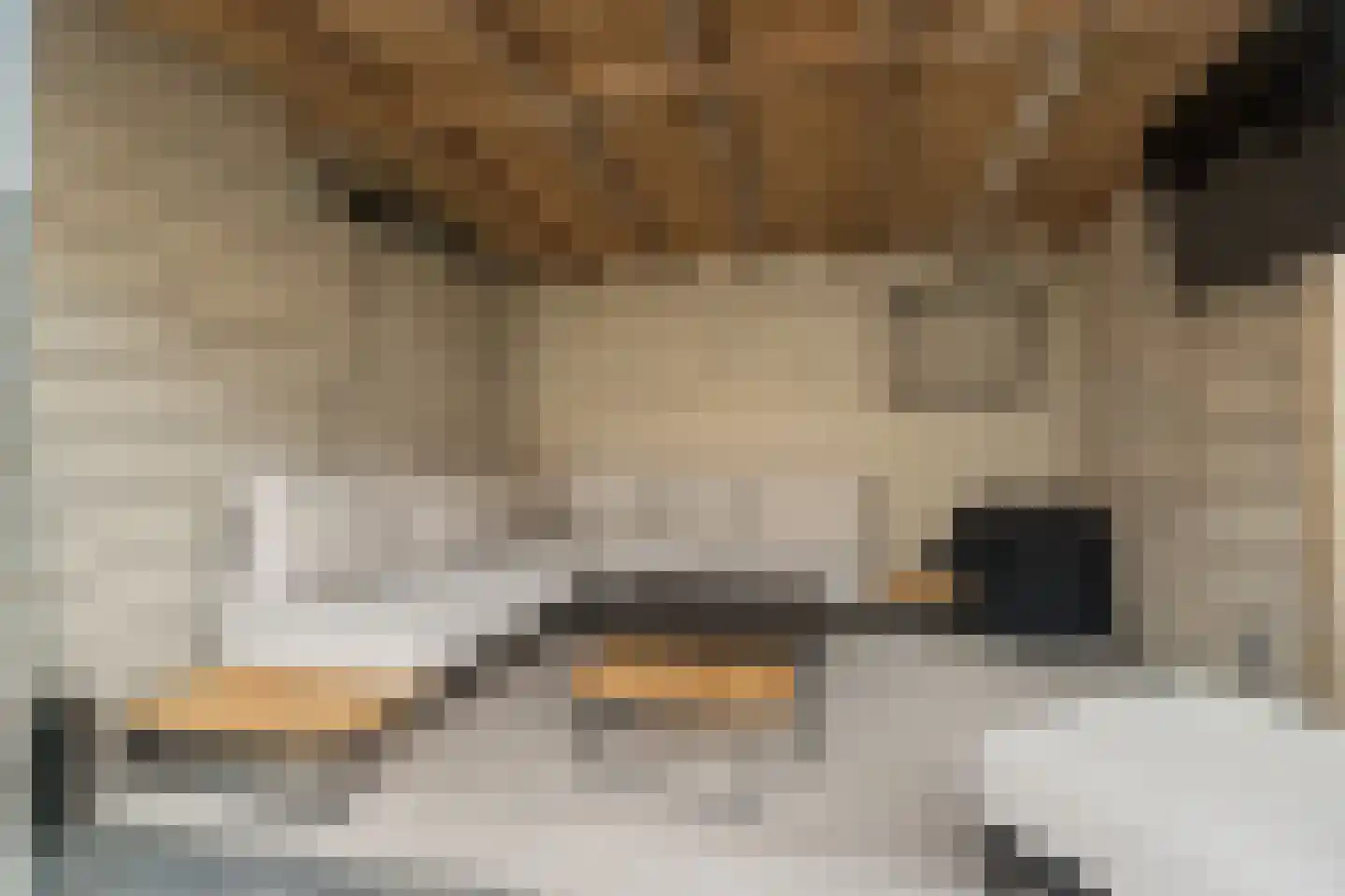 Dullert 99 Huissen thumbnail 41