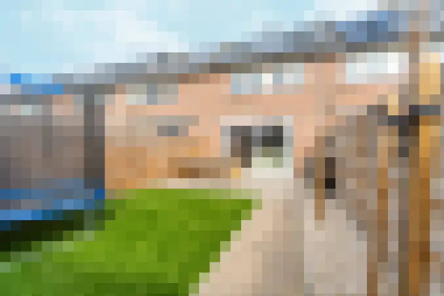 Dullert 99 Huissen thumbnail 42