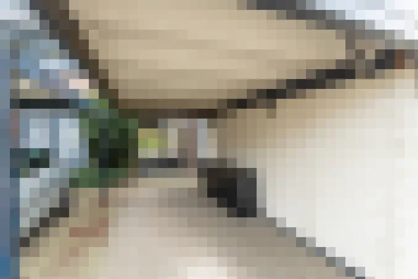 Dullert 99 Huissen thumbnail 45