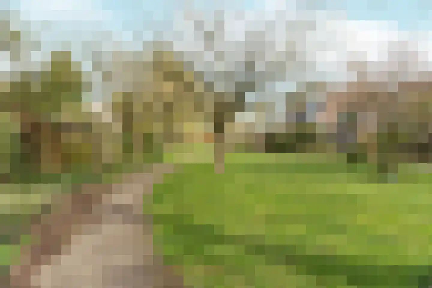 Dullert 99 Huissen thumbnail 49