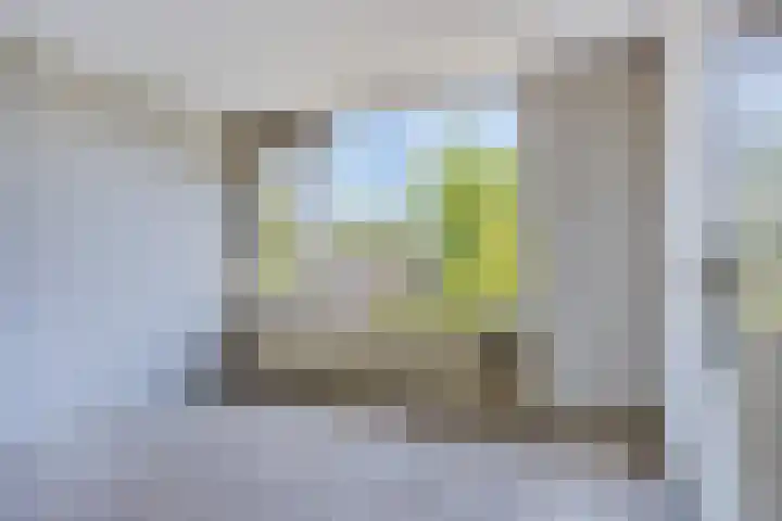 Dumasstraat 36 Rotterdam thumbnail 4