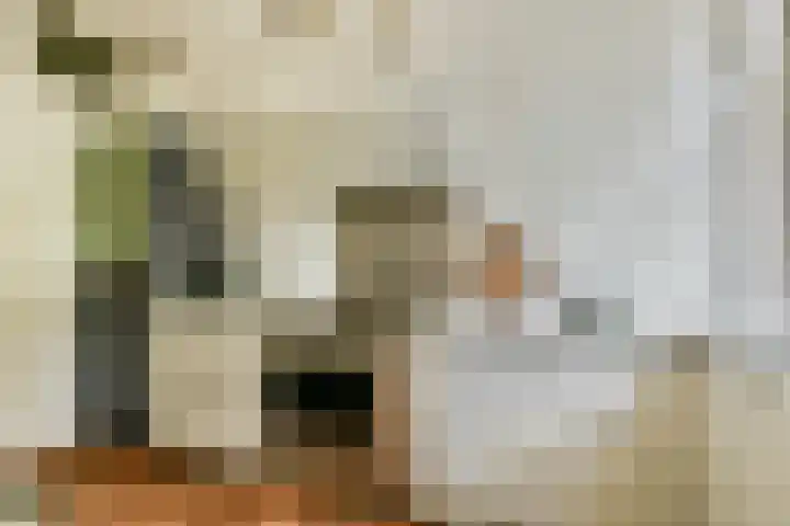 Dumasweg 33 e Neede thumbnail 17