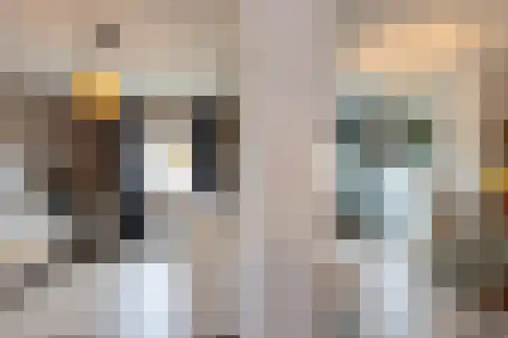Dumasweg 33 e Neede thumbnail 19