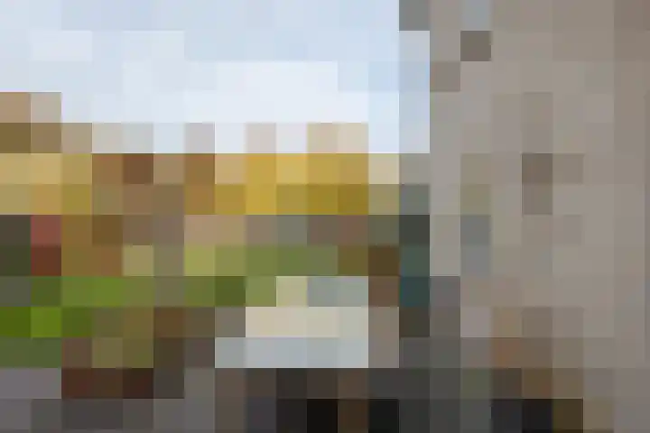 Dumasweg 33 e Neede foto 2