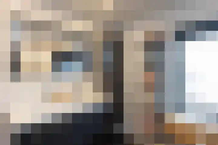 Dumasweg 33 e Neede thumbnail 25