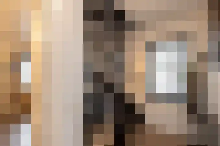 Dumasweg 33 e Neede thumbnail 29