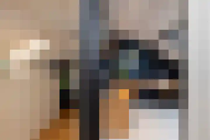 Dumasweg 33 e Neede thumbnail 30