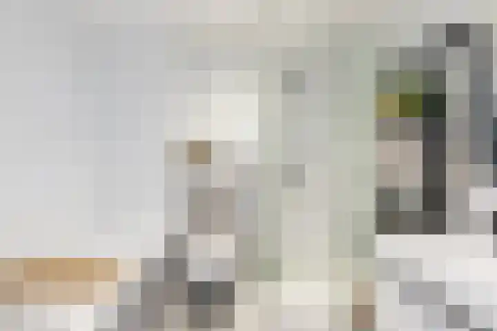 Dumasweg 33 e Neede thumbnail 32