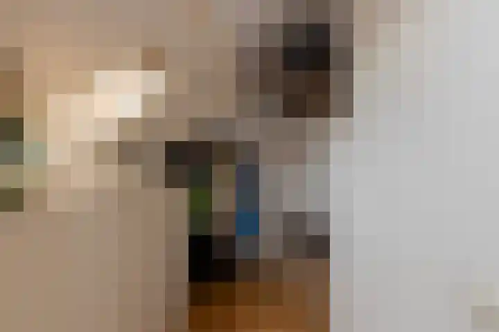 Dumasweg 33 e Neede thumbnail 32