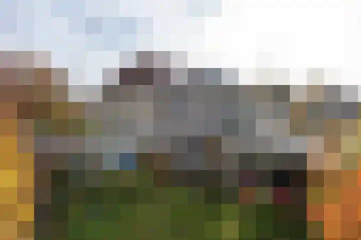 Dumasweg 33 e Neede thumbnail 33
