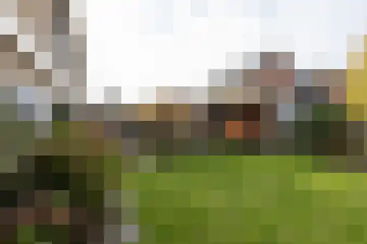 Dumasweg 33 e Neede thumbnail 36