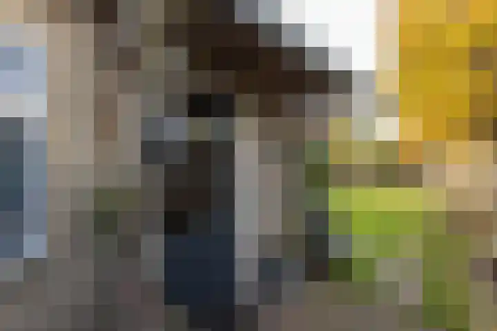 Dumasweg 33 e Neede thumbnail 39