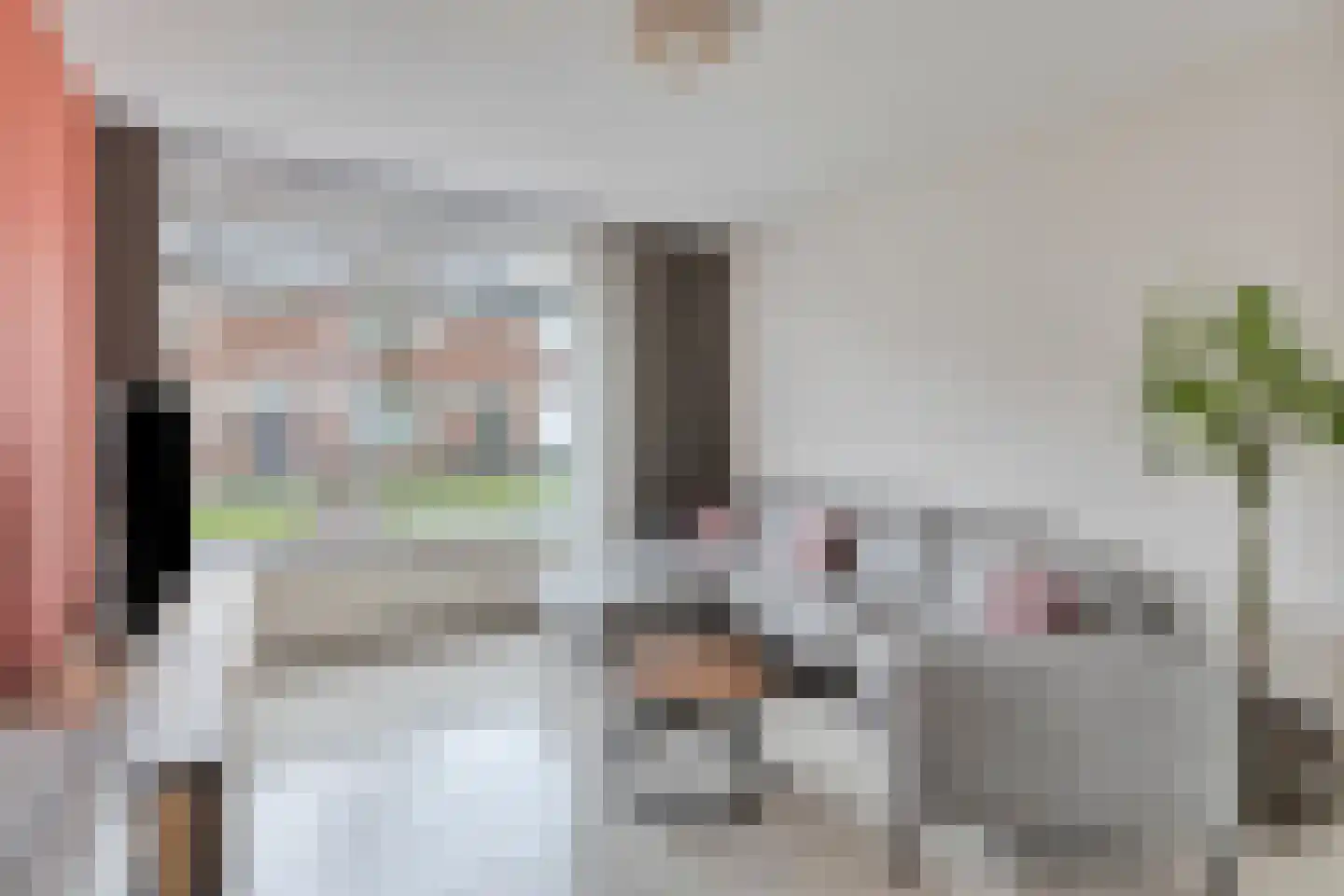 Dumasweg 33 e Neede thumbnail 40
