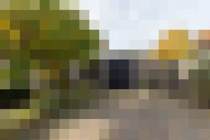 Dumasweg 33 e Neede thumbnail 40