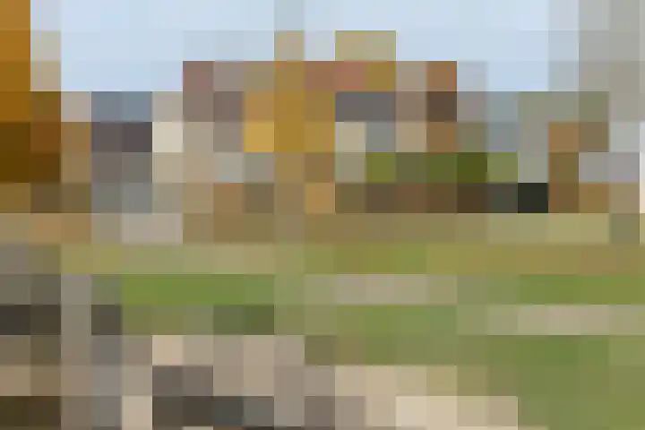 Dumasweg 33 e Neede thumbnail 43
