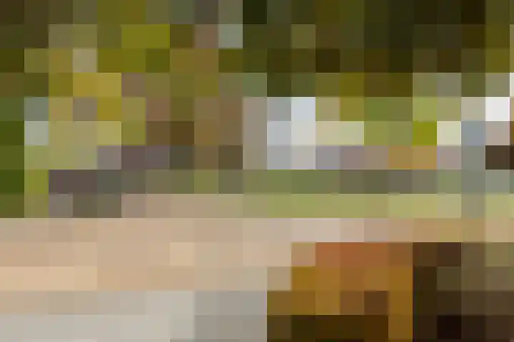 Dumasweg 33 e Neede thumbnail 44