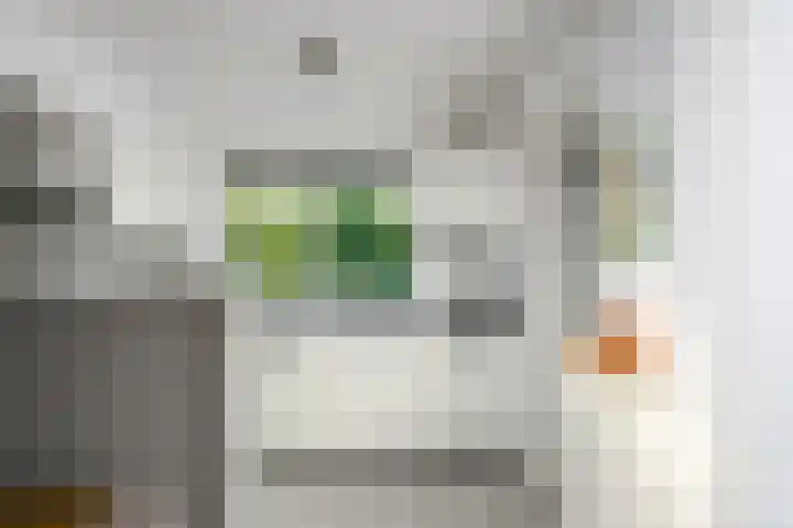 Dumasweg 33 e Neede thumbnail 53