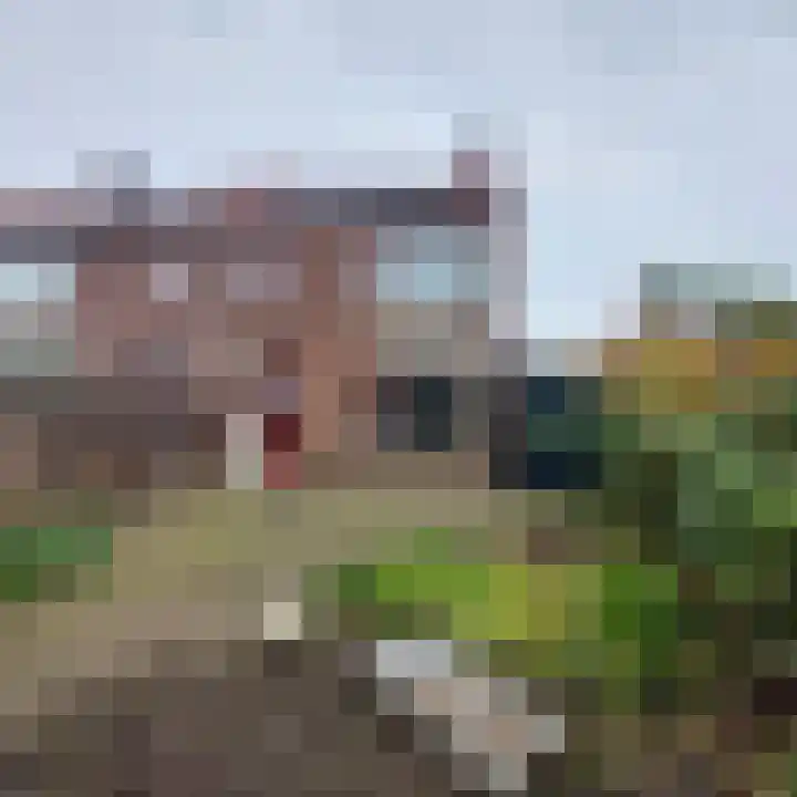 Dumbarstraat 15 Raalte thumbnail 11