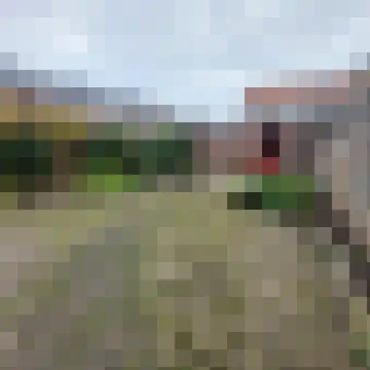 Dumbarstraat 15 Raalte thumbnail 12