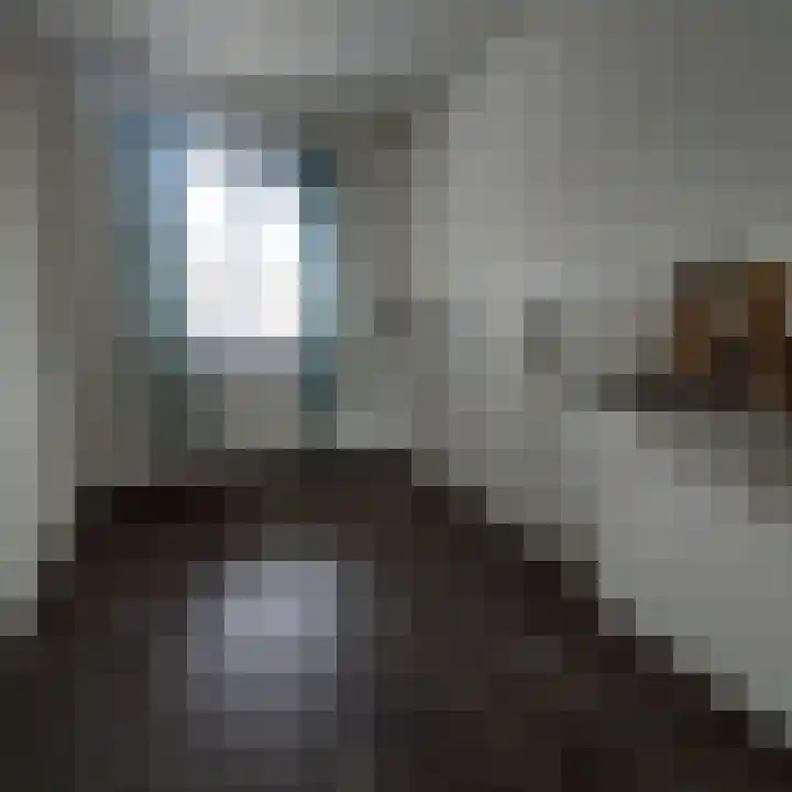 Dumbarstraat 15 Raalte thumbnail 9