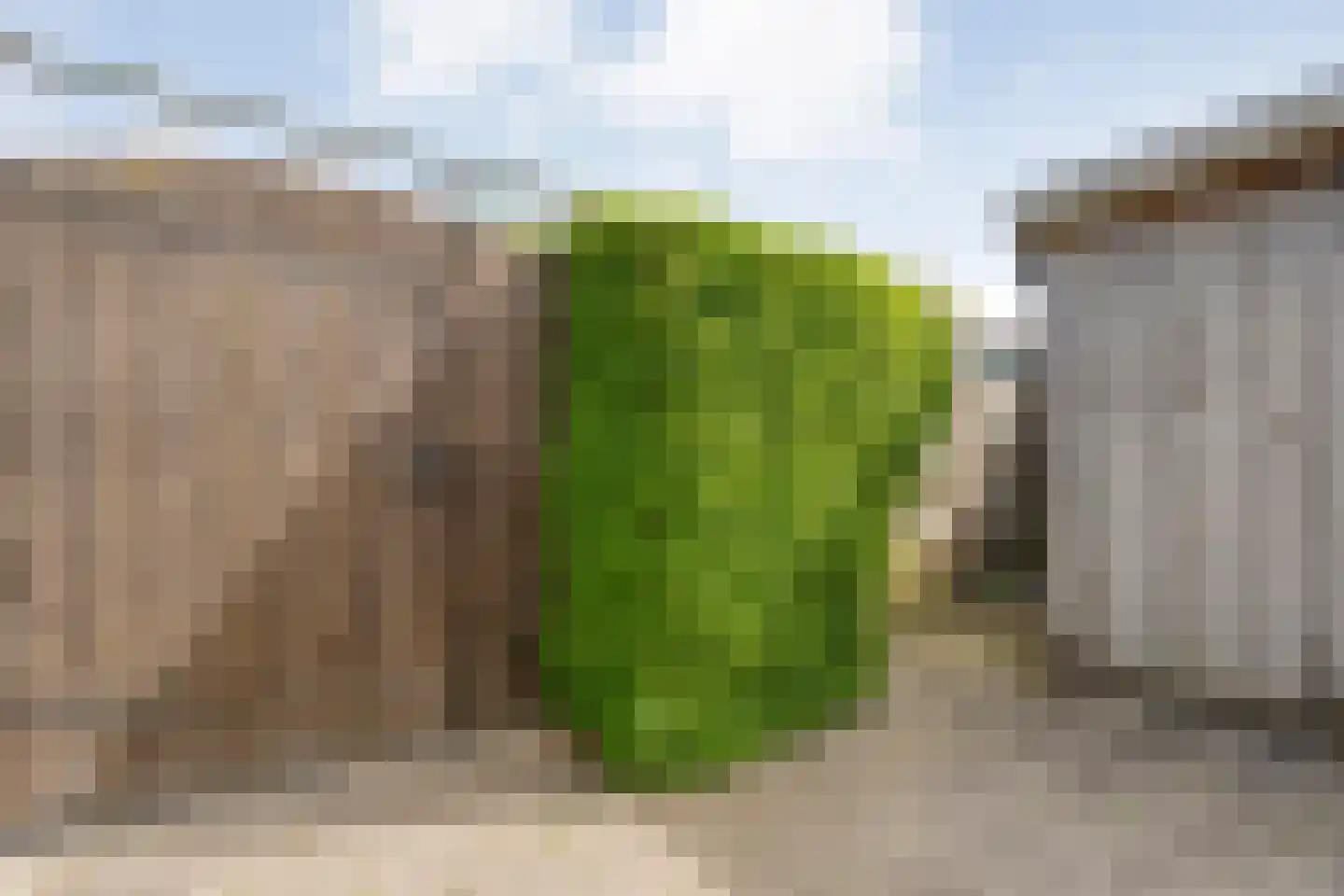 Dumbarstraat 61 Raalte thumbnail 34