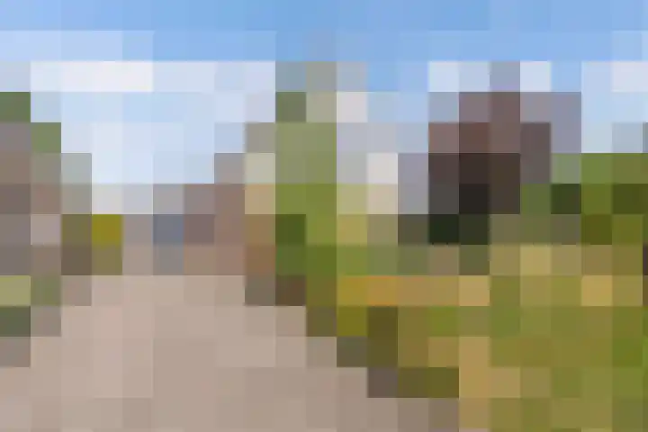 Dûmnysbosk 20 dans Nij Beets