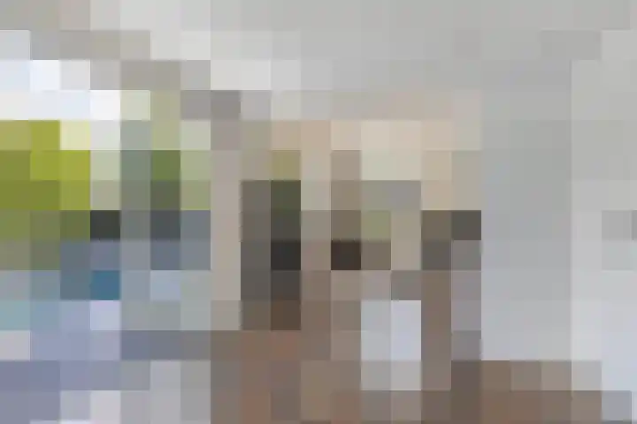 Dûmnysbosk 20 Nij Beets thumbnail 10