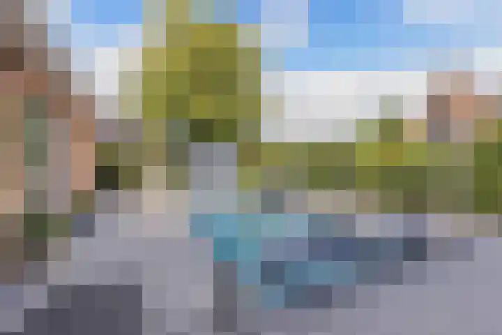 Dûmnysbosk 20 Nij Beets thumbnail 13