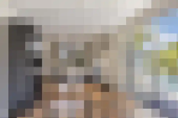 Dûmnysbosk 20 Nij Beets thumbnail 15