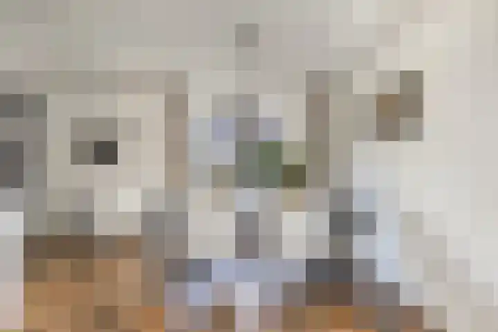Dûmnysbosk 20 Nij Beets thumbnail 16