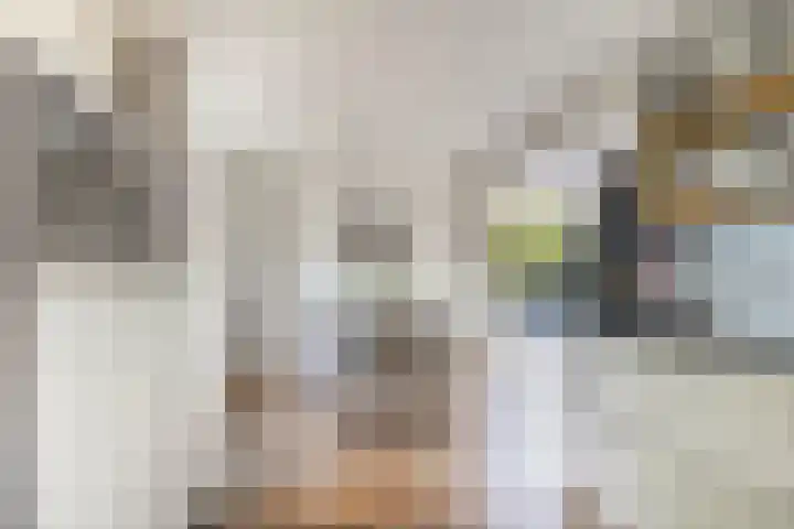 Dûmnysbosk 20 Nij Beets thumbnail 18