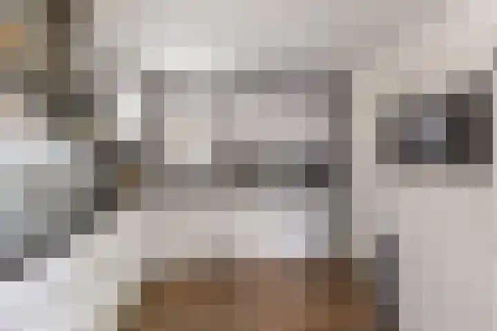 Dûmnysbosk 20 Nij Beets thumbnail 19