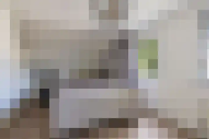 Dûmnysbosk 20 Nij Beets thumbnail 24