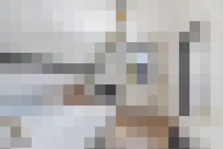 Dûmnysbosk 20 Nij Beets thumbnail 26