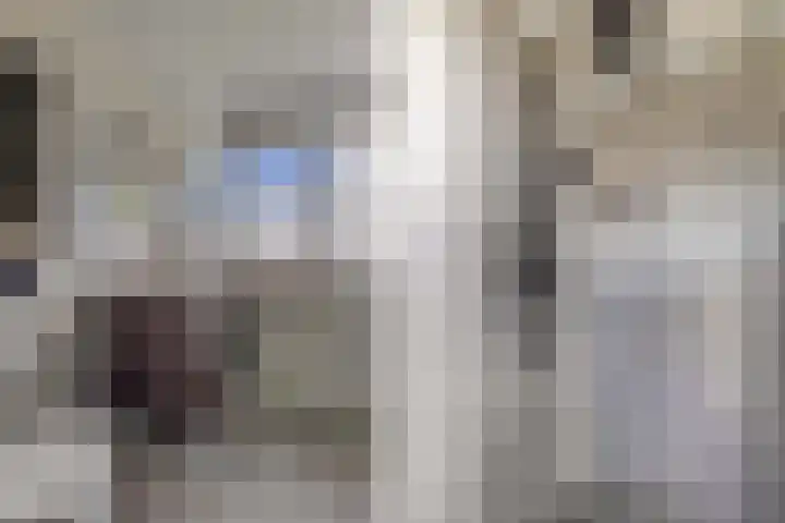 Dûmnysbosk 20 Nij Beets thumbnail 30