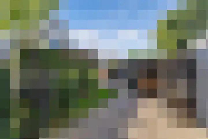 Dûmnysbosk 20 Nij Beets thumbnail 31