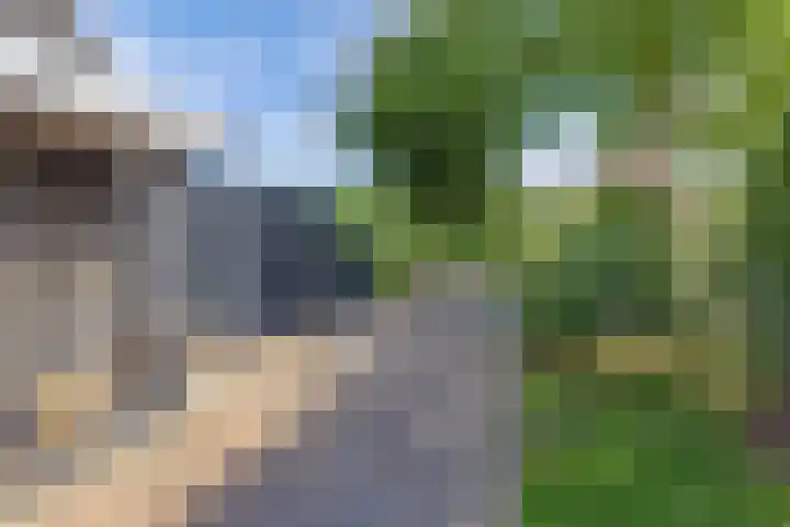 Dûmnysbosk 20 Nij Beets thumbnail 32