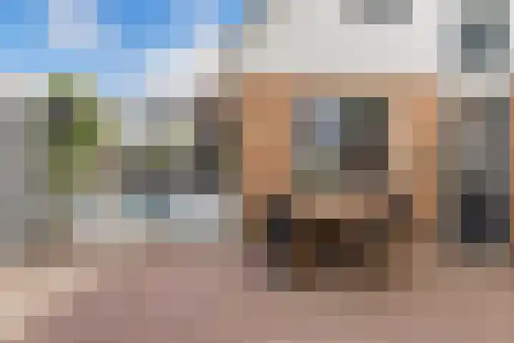 Dûmnysbosk 20 Nij Beets thumbnail 34