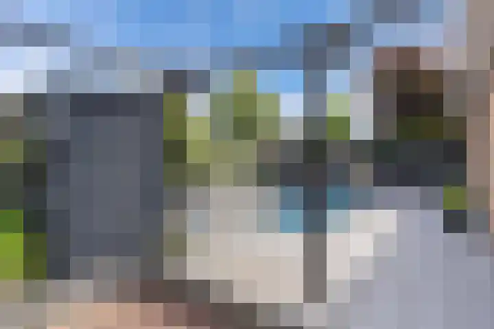 Dûmnysbosk 20 Nij Beets thumbnail 36