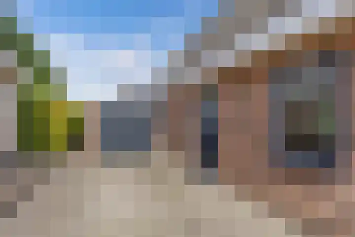 Dûmnysbosk 20 Nij Beets thumbnail 4