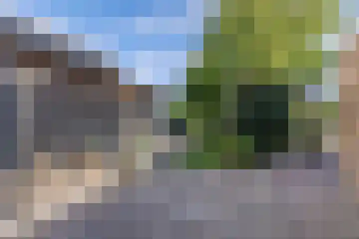 Dûmnysbosk 20 Nij Beets thumbnail 41